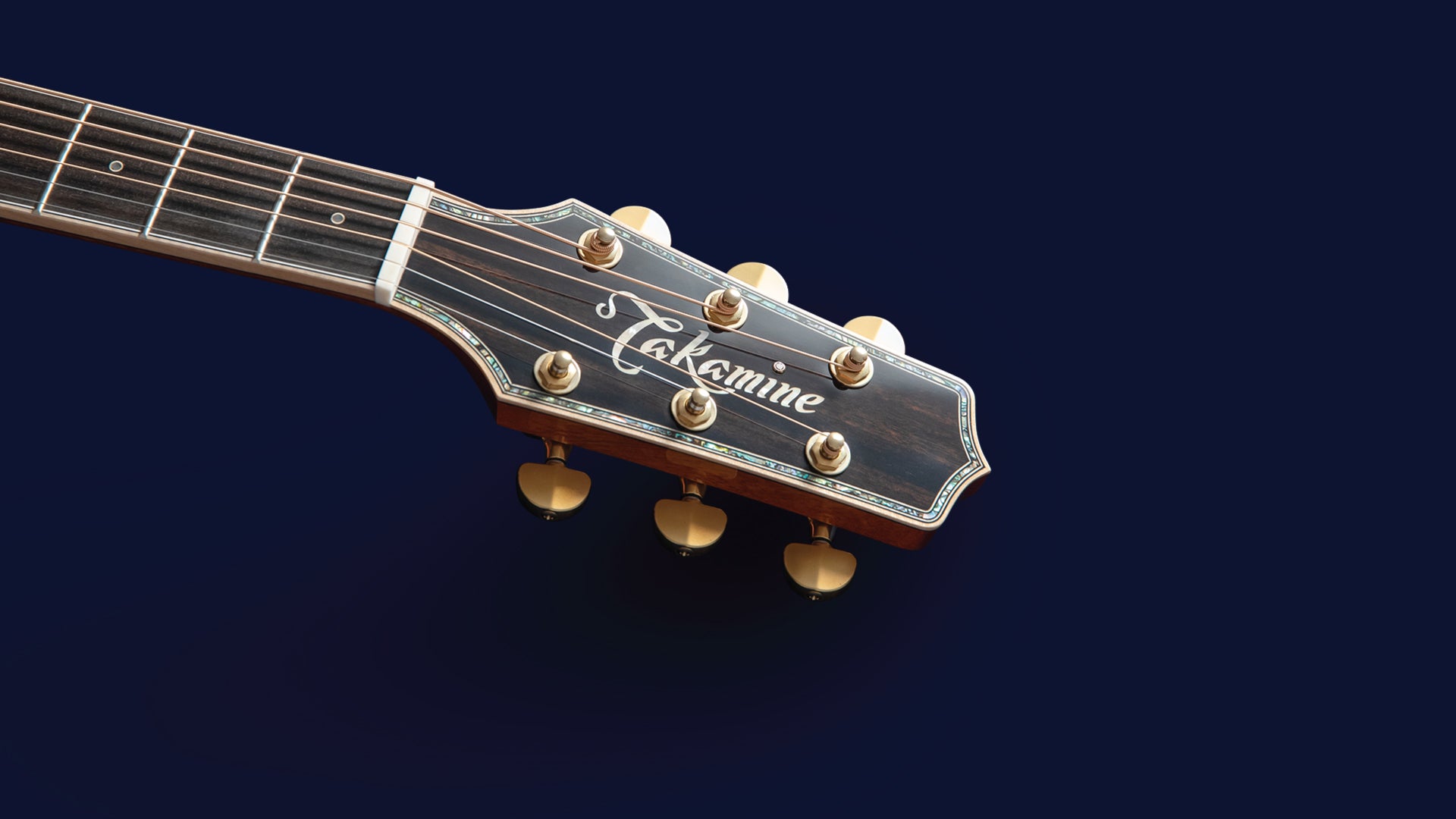 Takamine THE 60th Anniversary Model Acoustic Electric