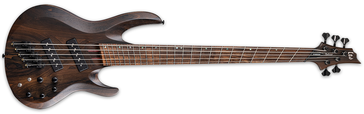 ESP LTD B-1005 Multi-scale Bass Guitar, Natural Satin LB1005MSNS