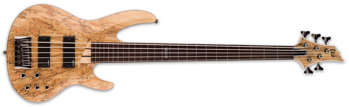 ESP LTD B205SMFL Spalted Maple Fretless Bass Guitar Natural Satin